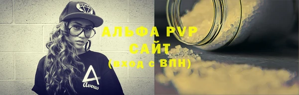 стаф Алексин