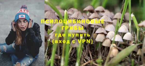 стаф Алексин