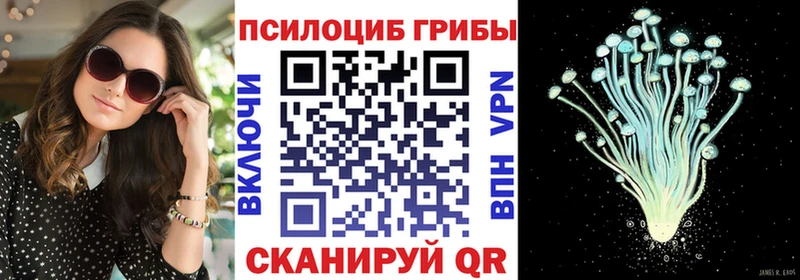 Псилоцибиновые грибы мухоморы  Шелехов 